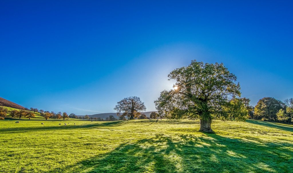 Countryside view